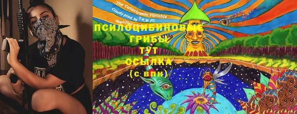 молекула духа Балахна
