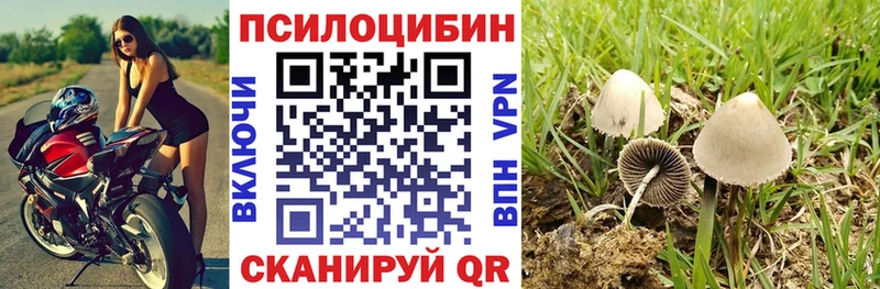 Купить закладки  Светогорск  Галлюциногенные грибы мухоморы 